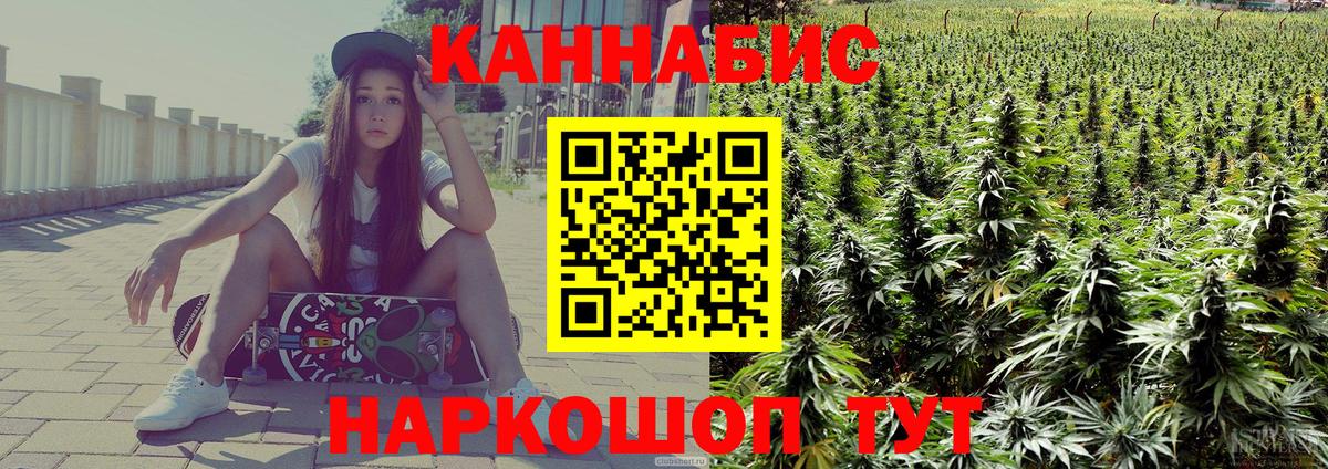 Конопля марихуана Кировск